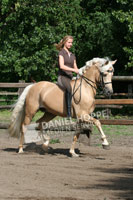 Julia Packeiser und HET Golden Dream